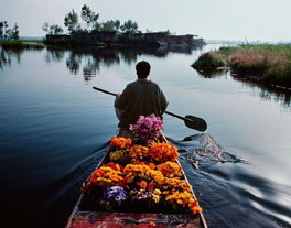 Kashmir