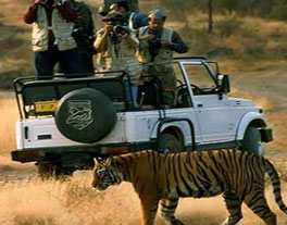 Ranthambore