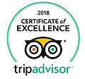 Tripadvisor Tajmahal Tour Review